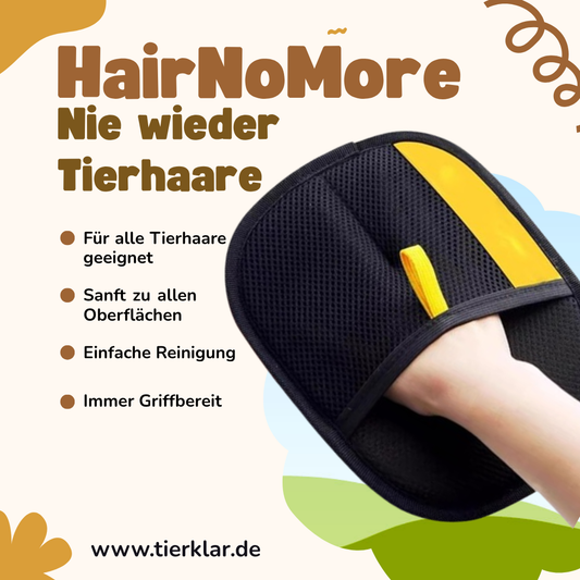HairNoMore – Sauber in Sekunden statt mühsamem Bürsten