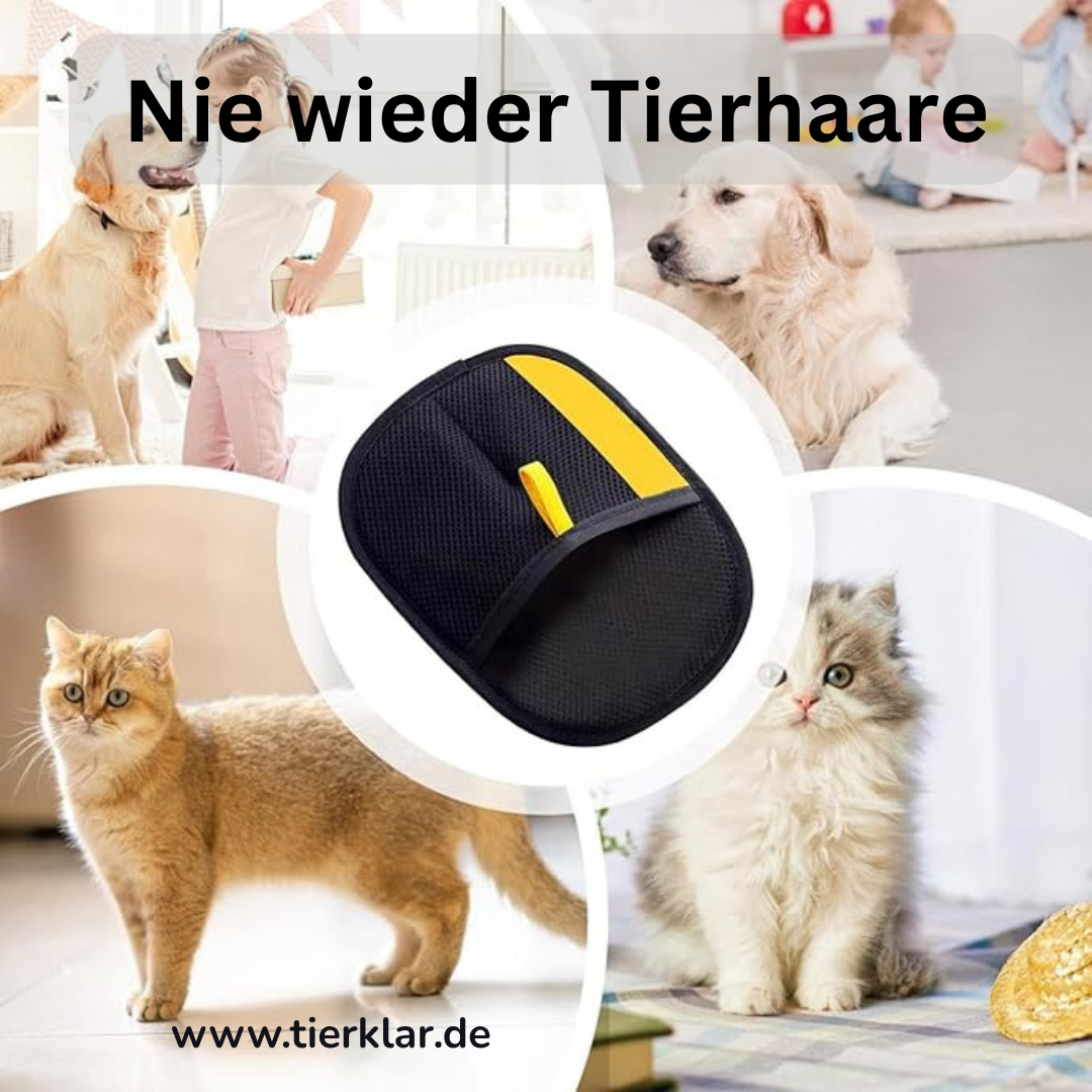 HairNoMore – Sauber in Sekunden statt mühsamem Bürsten