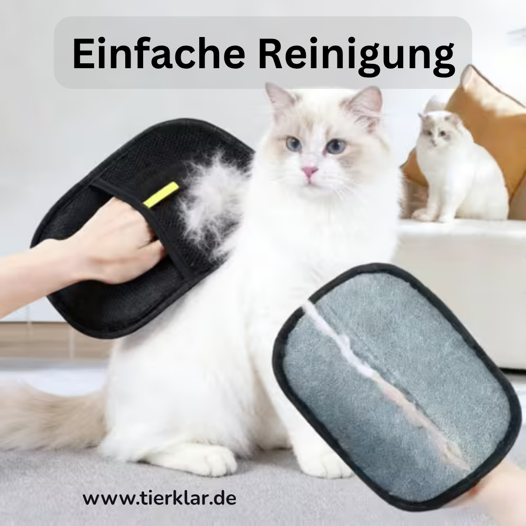 HairNoMore – Sauber in Sekunden statt mühsamem Bürsten