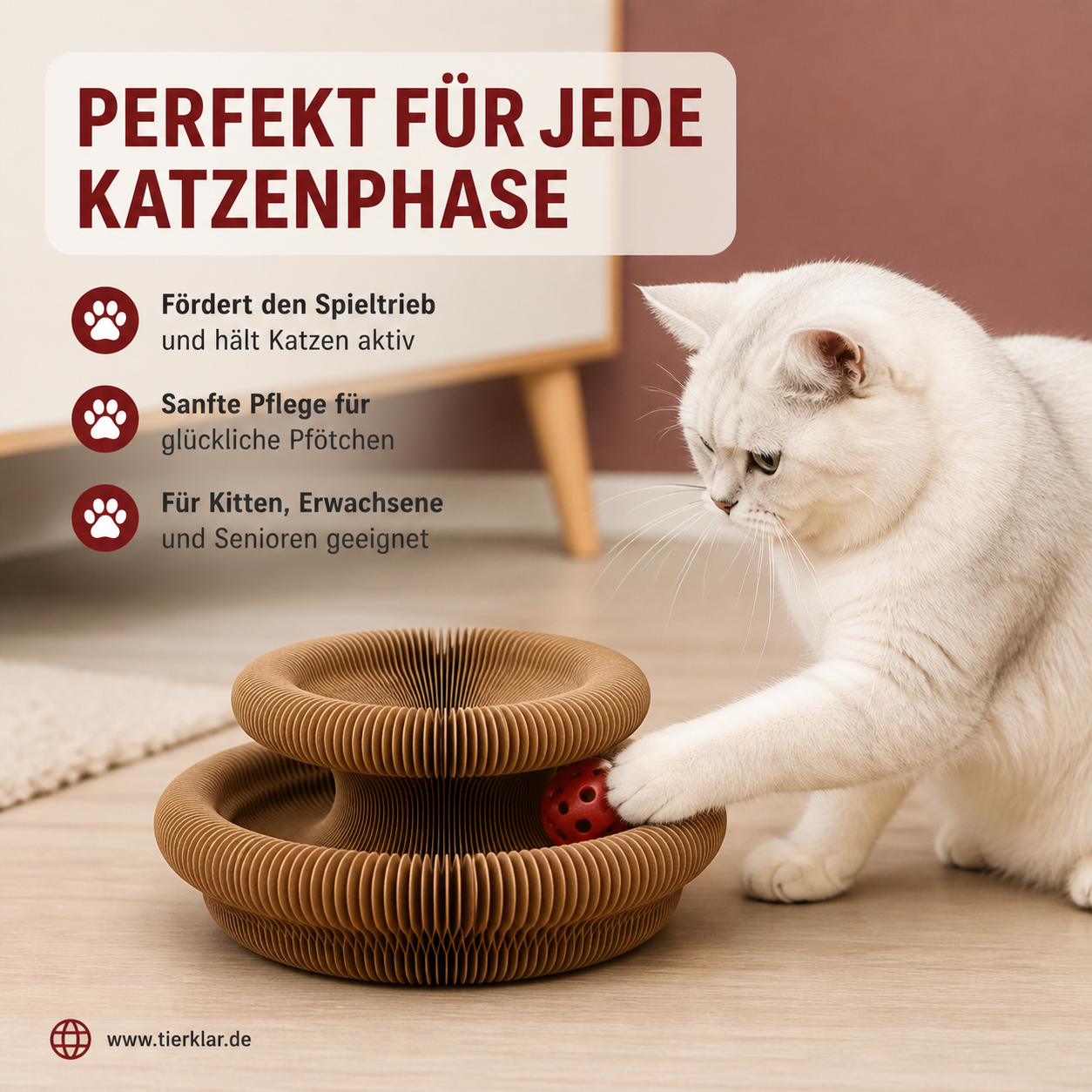 Spielring Deluxe
