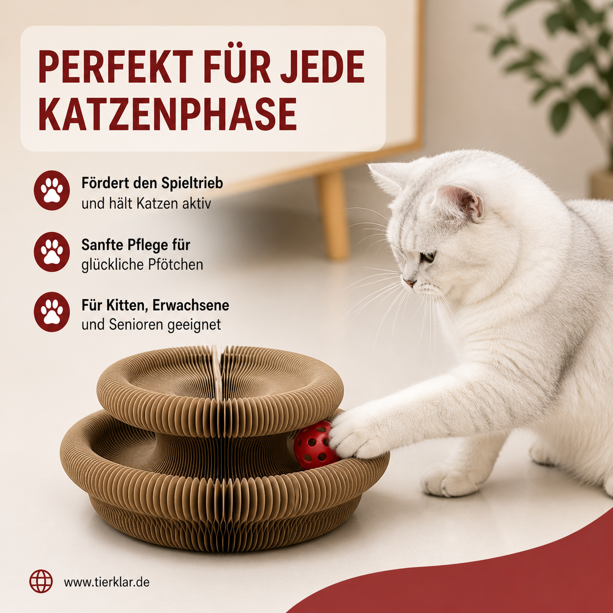 Spielring Deluxe